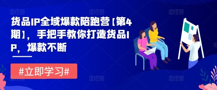 货品IP全域爆款陪跑营【第4期】，手把手教你打造货品IP，爆款不断 - 来及网络
