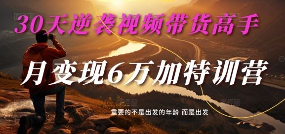 30天逆袭视频带货高手，单月变现6万加特训营-麦子甜 - 来及网络