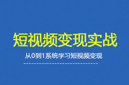 杨磊老师·2025短视频变现实战课 - 来及网络