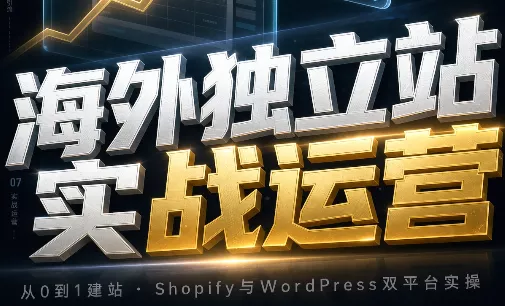 海外独立站实战运营 - 来及网络