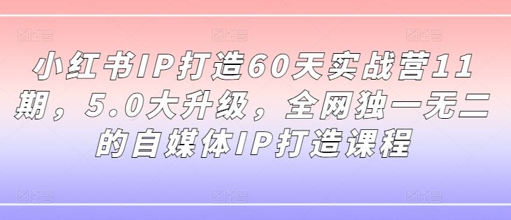 小红书IP打造60天实战营11期，5.0大升级，全网独一无二的自媒体IP打造课程 - 来及网络