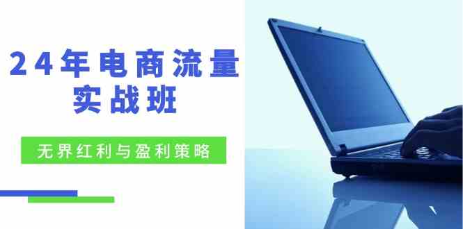 电商流量实战班：无界红利与盈利策略，终极提升/关键词优化/精准人群拓展/创新玩法 - 来及网络