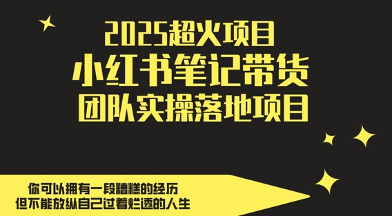 2025超火项目，副业最佳选择，小红书笔记带货团队实操落地项目，，轻松日入5张 - 来及网络
