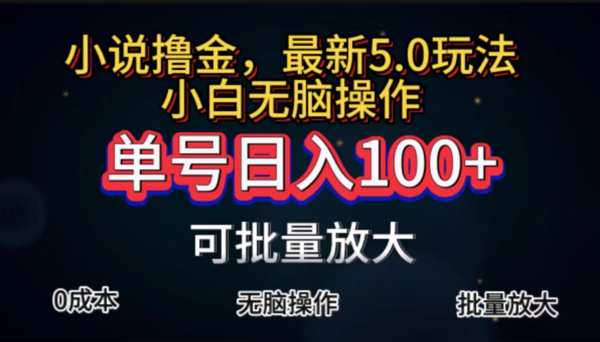 （11651期）全自动小说撸金，单号日入100+小白轻松上手，无脑操作 - 来及网络