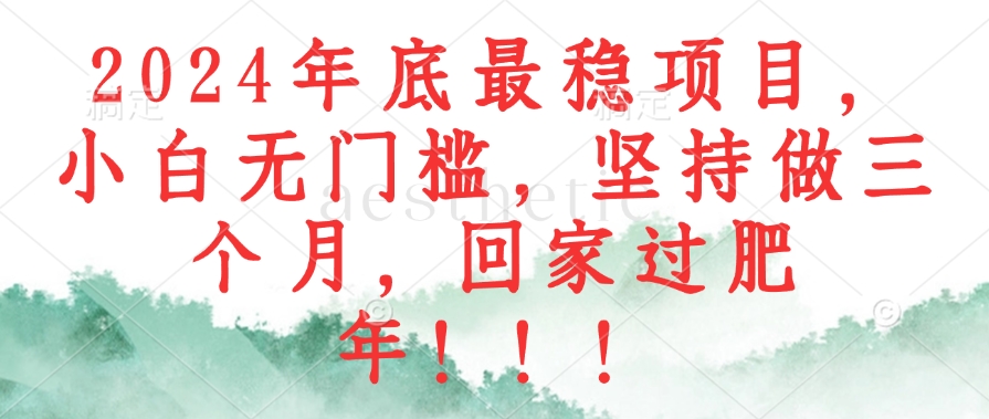 （12970期）2024年底最稳项目，小白无门槛，坚持做三个月，回家过肥年！！！ - 来及网络