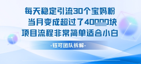 每天稳定引流30个人 当月变成超过了4个W项目流程非常简单适合小白 - 来及网络