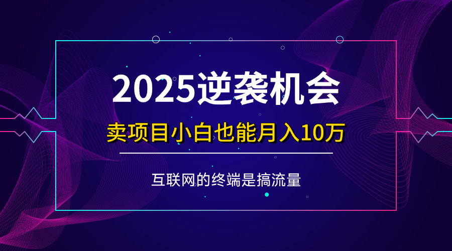 （14122期）项目标题：2025逆袭机会，卖项目小白也能轻松月入10万+ - 来及网络