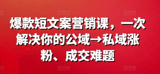 爆款短文案营销课，一次解决你的公域→私域涨粉、成交难题 - 来及网络