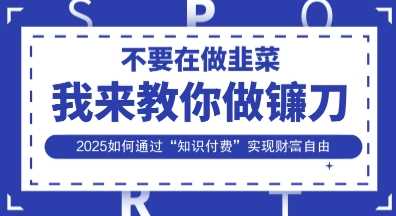 韭菜生涯终结者，我来教你做镰刀，2025如何通过“知识付费”实现财F自由【揭秘】 - 来及网络