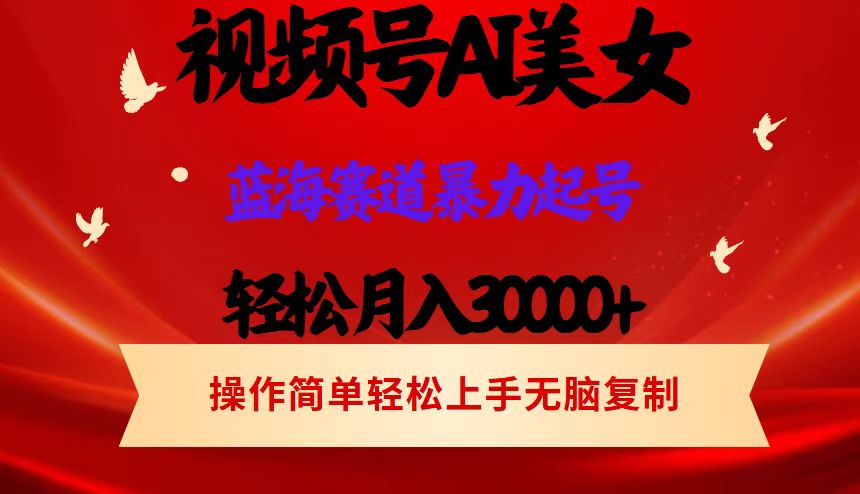 （12178期）视频号AI美女跳舞，轻松月入30000+，蓝海赛道，流量池巨大，起号猛，当… - 来及网络