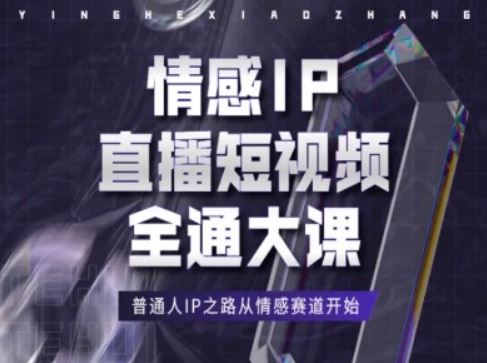 情感IP直播短视频全通大课，普通人IP之路从情感赛道开始 - 来及网络