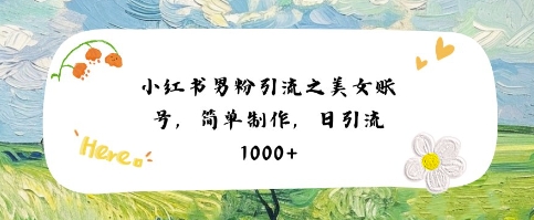 小红书男粉引流项目之美女账号6，简单制作，条条爆款原创，不违规 - 来及网络