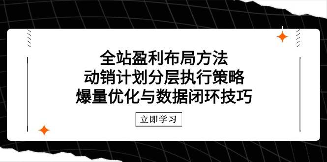 （14698期）全站盈利布局方法：动销计划分层执行策略，爆量优化与数据闭环技巧 - 来及网络