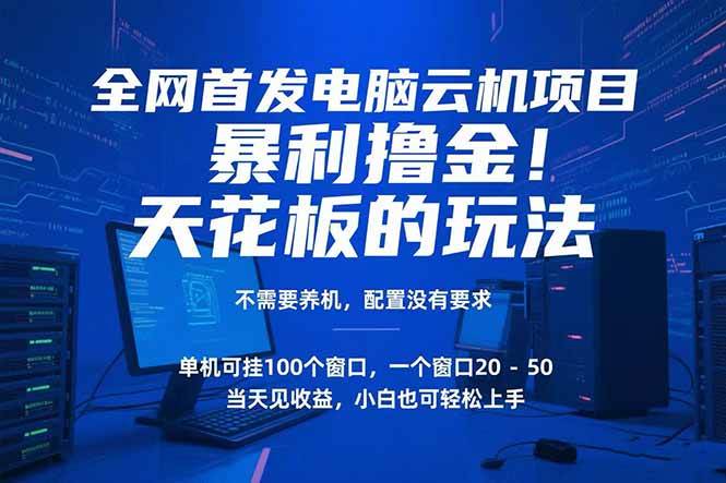 （15323期）电脑云机项目 暴力撸金玩法，不需要养机 配置没有要求 单机100个窗口一… - 来及网络