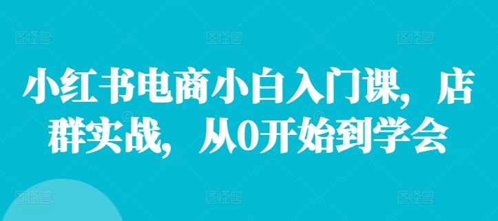 小红书电商小白入门课，店群实战，从0开始到学会 - 来及网络