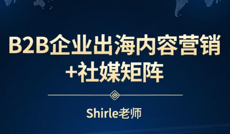 shirle老师·B2B企业出海内容营销+社媒矩阵 - 来及网络