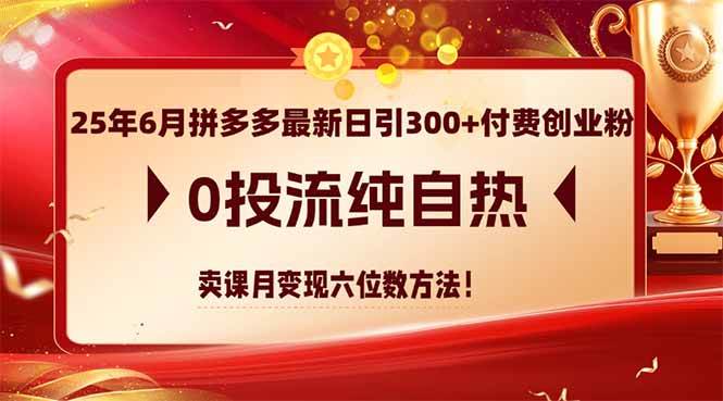 （14989期）25年6月拼多多最新日引300+付费创业粉，0投流纯自热 卖课月变现六位数方法 - 来及网络