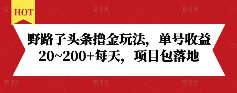 野路子头条撸金玩法，单号收益20~200+每天，项目包落地 - 来及网络