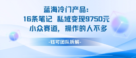 蓝海项目：16条笔记私域变现9750米小众赛道操作的人不多 - 来及网络