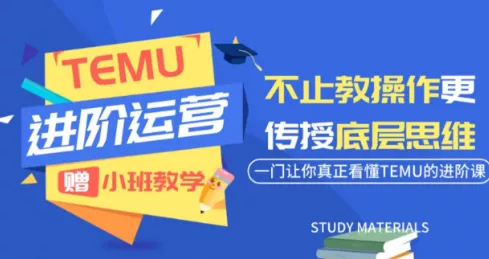 阿卡林·TEMU运营课程(基础+进阶) - 来及网络