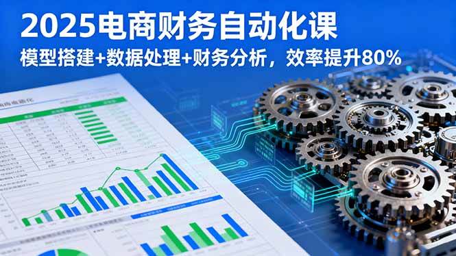 （16021期）2025电商财务自动化课，模型搭建+数据处理+财务分析，效率提升80% - 来及网络
