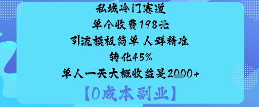 私域冷门赛道:单个收费198米引流模板简单人群精准转化45%单人一天大概收益是1k+ - 来及网络