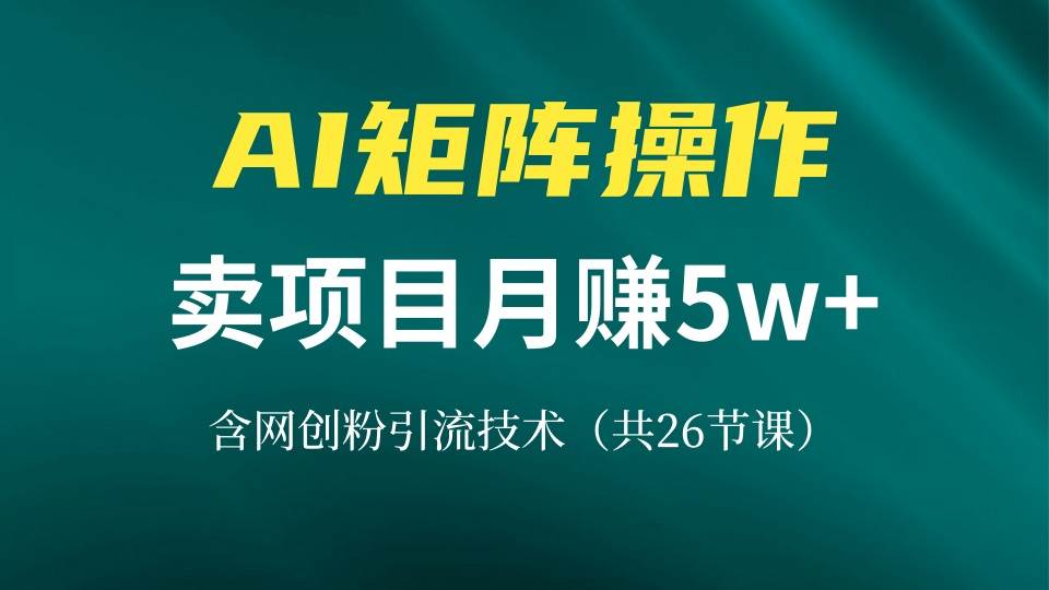 （13335期）网创IP打造课，借助AI卖项目月赚5万+，含引流技术（共26节课） - 来及网络