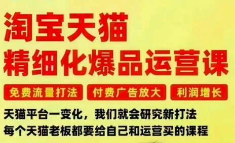 淘宝天猫精细化爆品运营课，免费流量打法-付费广告放大-利润增长-三大核心痛点，一次全部解决 - 来及网络