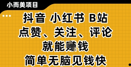 小而美的项目，抖音小红书B站视频点赞、关注、评论就能挣钱，简单无脑立见收益，妥妥的零撸项目【揭秘】 - 来及网络