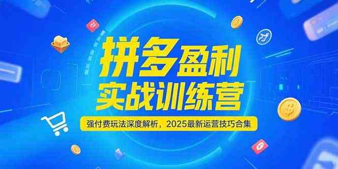 拼多多盈利实战训练营，强付费玩法深度解析，2025最新运营技巧合集 - 来及网络