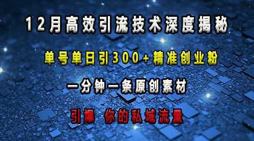 最新高效引流技术深度揭秘 ，单号单日引300+精准创业粉，一分钟一条原创素材，引爆你的私域流量 - 来及网络
