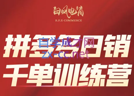 白凤电商·拼多多日销千单训练营(更新8月) - 来及网络