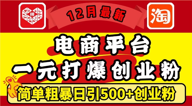 12月最新：电商平台1元打爆创业粉，简单粗暴日引500+精准创业粉，轻松月入过W【揭秘】 - 来及网络