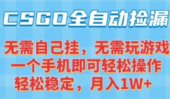 CSGO自动捡漏项目，最新独家玩法，一个手机可操作，新手小白轻松月入1W+，操作简单易上手【揭秘】 - 来及网络