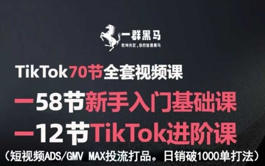 TikTok全套视频课，新手入门+进阶课，短视频ADS-GMV MAX投流打品，日销破1000单打法 - 来及网络