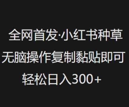 全网首发，小红书种草无脑操作，复制黏贴即可，轻松日入3张 - 来及网络