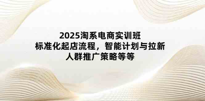 2025淘系电商实训班：标准化起店流程，智能计划与拉新，人群推广策略等等 - 来及网络