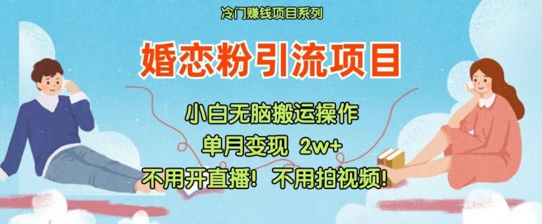 小红书婚恋粉引流，不用开直播，不用拍视频，不用做交付【揭秘】 - 来及网络