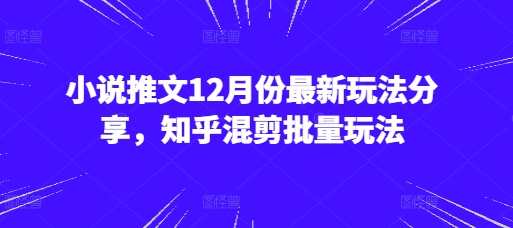 小说推文12月份最新玩法分享，知乎混剪批量玩法 - 来及网络