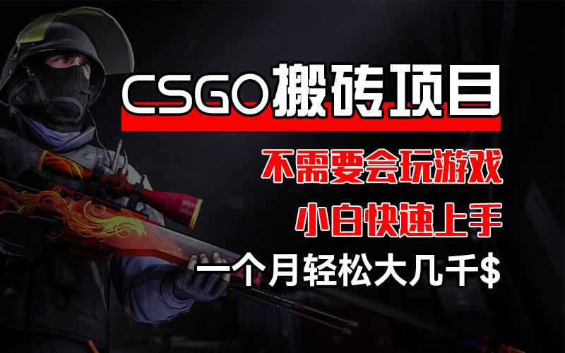 （12332期）CSGO 装备搬砖项目，操作简单，不需要会玩游戏，小白也能快速上手，一… - 来及网络