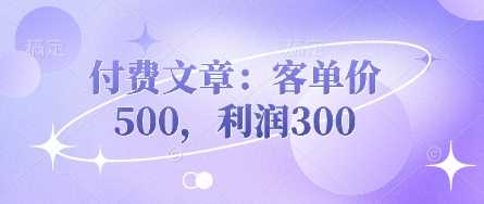 付费文章：客单价500，利润300 - 来及网络