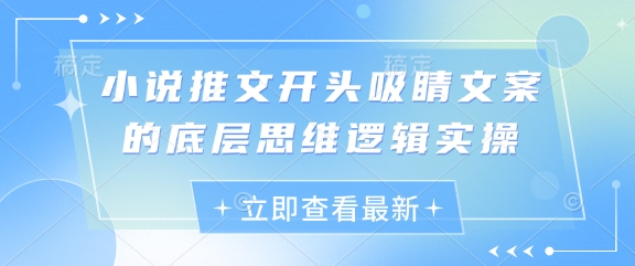 小说推文开头吸睛文案的底层思维逻辑实操 - 来及网络