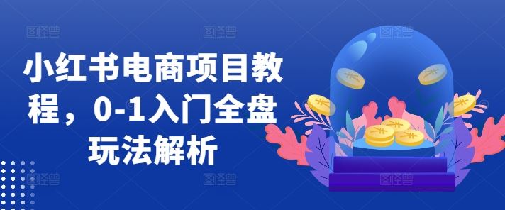 小红书电商项目教程，0-1入门全盘玩法解析 - 来及网络