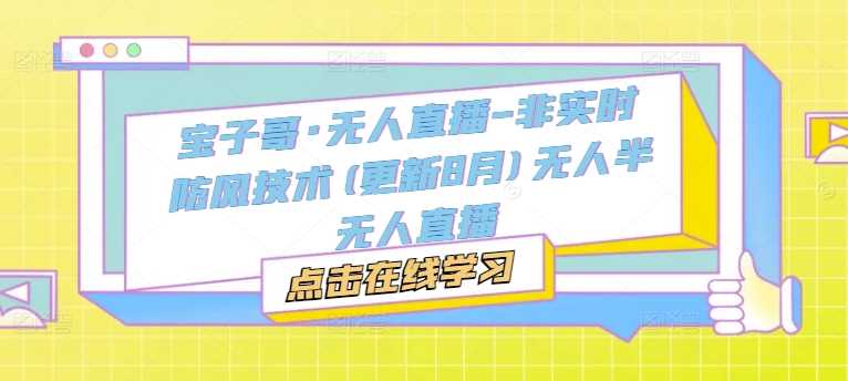 宝子哥·无人直播-非实时防风技术(更新11月)无人半无人直播 - 来及网络
