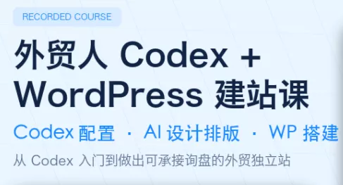 大卫·外贸人Codex + WordPress建站课(更新8月) - 来及网络