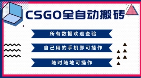 CSGO全自动搬砖，年底钱回家好项目，当天可拿到结果，新手小白轻松月入1W+【揭秘】 - 来及网络