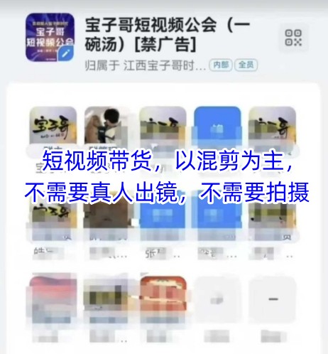 宝子哥头部团队短视频带货，以混剪为主，不需要真人出镜，不需要拍摄【更新26年3月】 - 来及网络