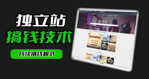 干货来袭！麦子甜带你吃透独立站｜从搭建到引流一站式教学《独立站》第一期 - 来及网络