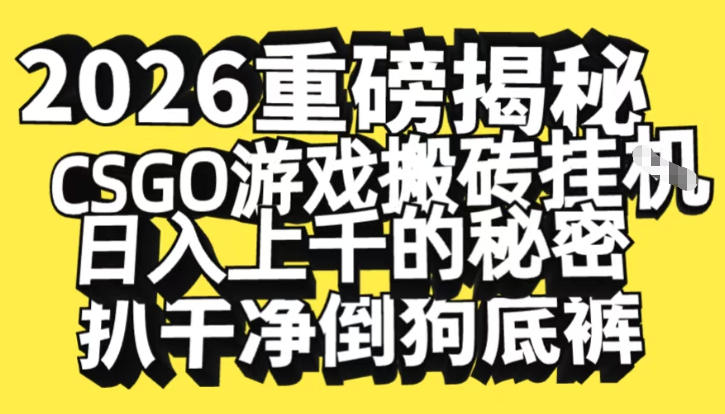 2026开年重磅解密，CSGO游戏搬砖挂G日入1k+的秘密，把倒狗的底裤扒干【揭秘】 - 来及网络