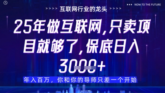 什么！25年你还在找项目做？风口早就变了，卖项目才是稳挣不赔【揭秘】 - 来及网络